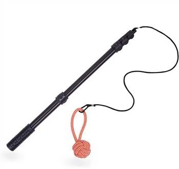 Pet Interactive Toys (2)