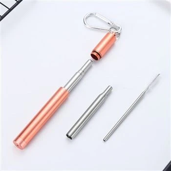 Telescopic Stainless Steel Collapsible Straw For Drinking With Case And Brush