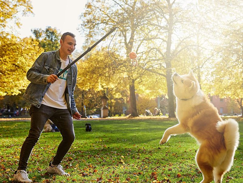 TELESCOPIC FLIRT DOG POLE