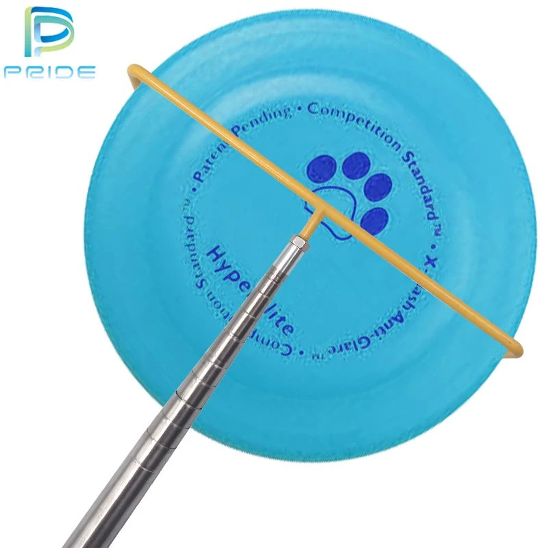 Frisbee fitness