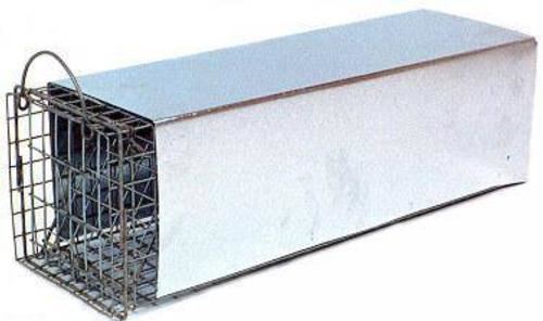 Closed Skunk Trap