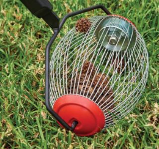 Nuts and Ground Cleaning Tools