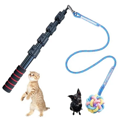 dog medication vomiting