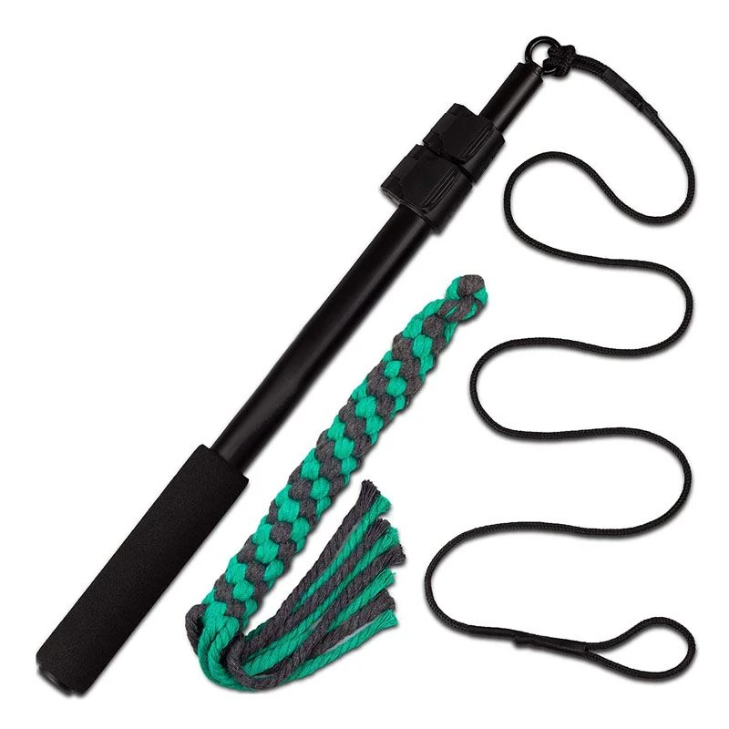 Fly Disk Collect Retractable Wand