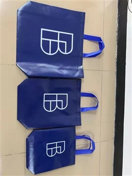 The Sample Of Non-woven Bag Customized By Germany Customer Has Been Completed...
