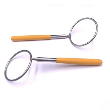 The Sample Of Telescoping Tube Dog Whip Bag Customized By Germany Customer Ha...